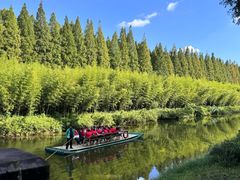 -黄海国家森林公园