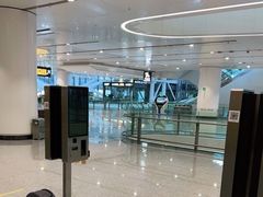 -麦当劳(北京大兴机场二层国内到达(安检外)店)