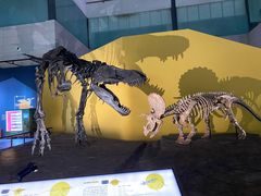 -湖南省地质博物馆