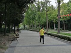 -苏州河梦清园环保主题公园