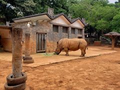 -昆明动物园