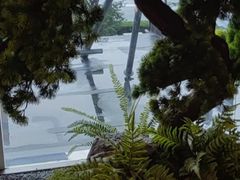 -苏淮景·苏闽融创菜·海鲜(原空港井河轩店)