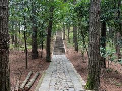 -四明山国家森林公园