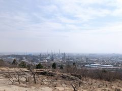 -白水寺森林公园