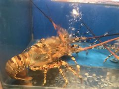 -宁波石浦大饭店(新材料城店)