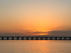 -宝安西湾红树林湿地公园