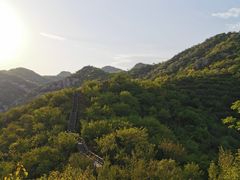 -大岭沟猕猴桃谷风景区