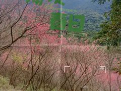 -福清灵石山国家森林公园