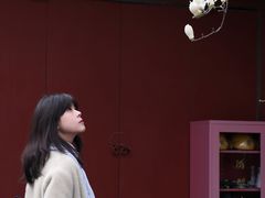 -万寿八仙宫