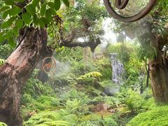 -Chom Cafe and Restaurant