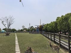 -苏州太湖西山岛开心农场