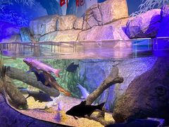 -沈阳海洋探索中心