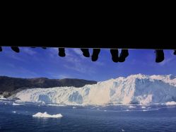 -翱翔飞越地平线