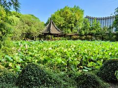 -上海醉白池公园