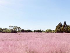 -军山湖云水间生态农业旅游景区