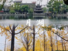 -月湖公园