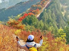 -大岭沟猕猴桃谷风景区