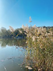 -SKINLALA美肤疗愈SPA