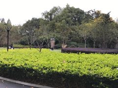 -徐家汇源景区-衡山公园