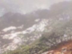 -苍山感通索道
