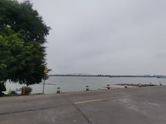 -八仔大富楼·河鲜(西江店)