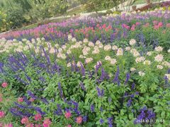 -石家庄市植物园