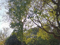 -南京市江宁方山