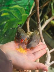 -Zoolung Zoolung动物主题公园(海信广场店)