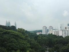 -亨德森波浪桥