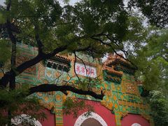 -国家植物园