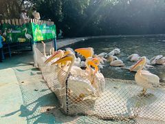 -广州长隆飞鸟乐园