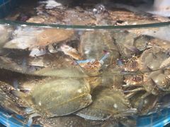 -正亮农家院·海鲜本地菜