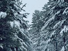-北极村旅游风景区