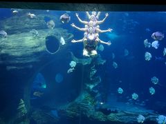 -多彩贵州城极地海洋世界