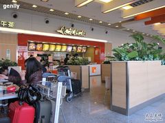 座位-东方既白(上海浦东国际机场)