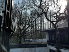 -杭州西湖柳莺里酒店