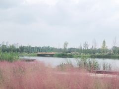 -白鹭湾湿地公园