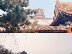 -颐和园