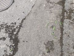 -旺福楼·包点(碑亭巷店)