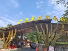 -天鹿湖森林公园