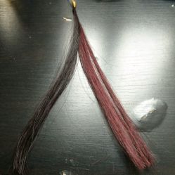 -iColor发型色彩定制