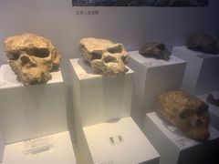 -重庆自然博物馆(新馆)