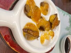 -黑松白鹿(金融街店)