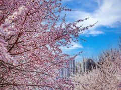 -太阳宫公园