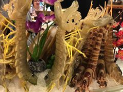 -鲜入围煮花胶鸡海鲜火锅