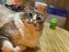 -白兔子密室(长寿路店)