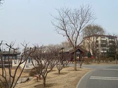 -西海子公园