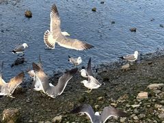 -大连老虎滩海洋公园