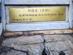 -真庆观