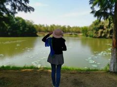 -艾溪湖湿地公园